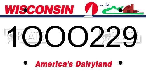 1OOO229 Wisconsin License Plate