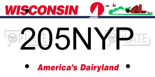 205NYP Wisconsin License Plate