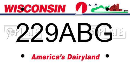 229ABG Wisconsin License Plate