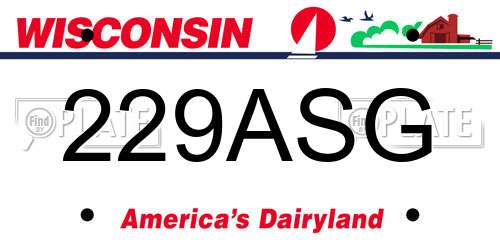 229ASG Wisconsin License Plate