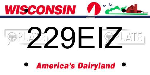229EIZ Wisconsin License Plate
