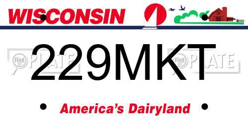 229MKT Wisconsin License Plate
