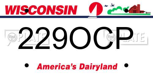 229OCP Wisconsin License Plate