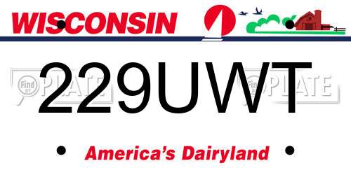 229UWT Wisconsin License Plate