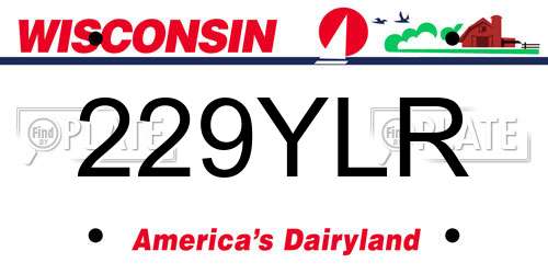 229YLR Wisconsin License Plate