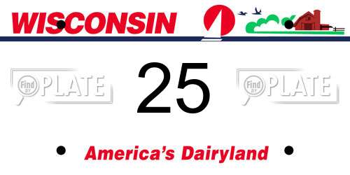 25 Wisconsin License Plate