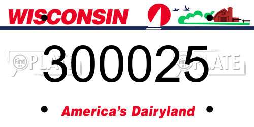 300025 Wisconsin License Plate