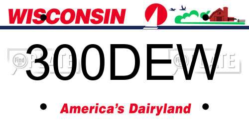 300DEW Wisconsin License Plate