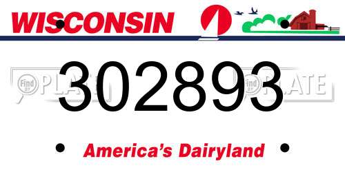 302893 Wisconsin License Plate