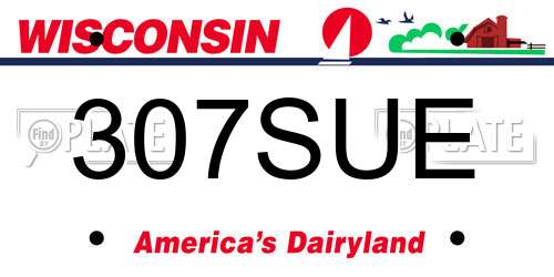 307SUE Wisconsin License Plate