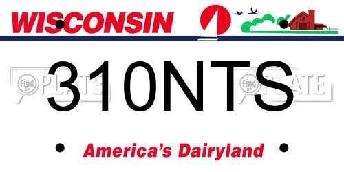 310NTS Wisconsin License Plate