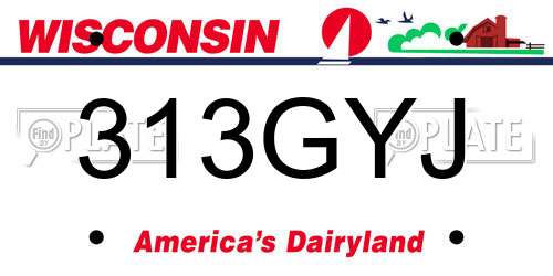313GYJ Wisconsin License Plate