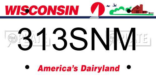313SNM Wisconsin License Plate
