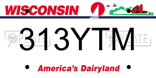 313YTM Wisconsin License Plate