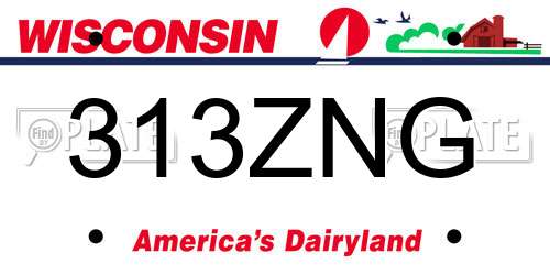 313ZNG Wisconsin License Plate