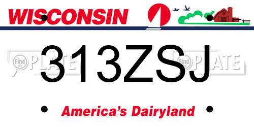 313ZSJ Wisconsin License Plate