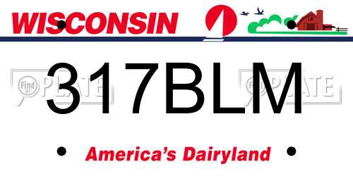 317BLM Wisconsin License Plate