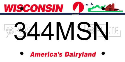 344MSN Wisconsin License Plate