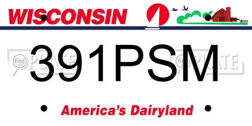 391PSM Wisconsin License Plate