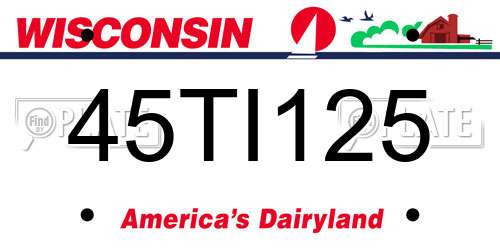 45TI125 Wisconsin License Plate