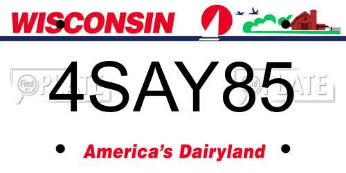 4SAY85 Wisconsin License Plate