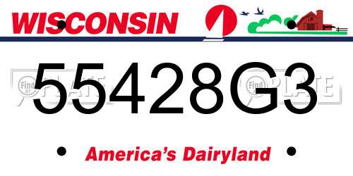 55428G3 Wisconsin License Plate