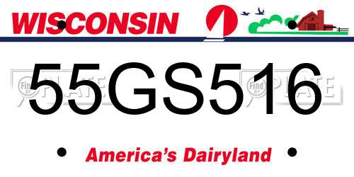 55GS516 Wisconsin License Plate
