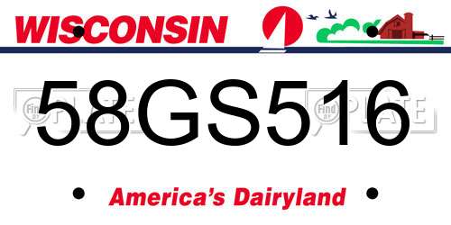 58GS516 Wisconsin License Plate