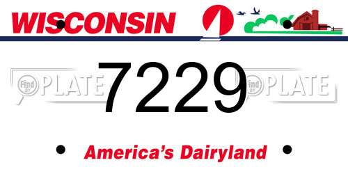 7229 Wisconsin License Plate