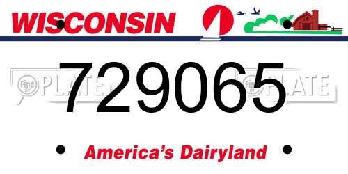 729065 Wisconsin License Plate