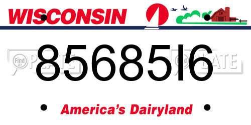 85685I6 Wisconsin License Plate