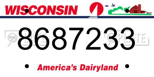 8687233 Wisconsin License Plate