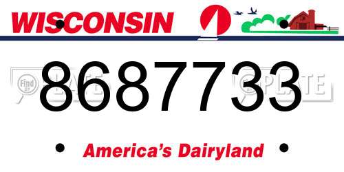 8687733 Wisconsin License Plate