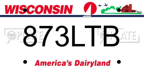 873LTB Wisconsin License Plate