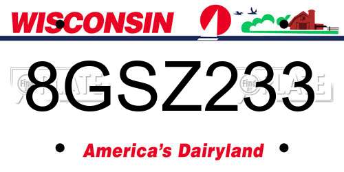 8GSZ233 Wisconsin License Plate