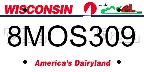 8MOS309 Wisconsin License Plate