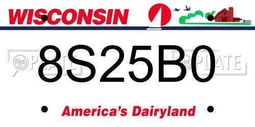 8S25B0 Wisconsin License Plate