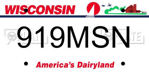 919MSN Wisconsin License Plate
