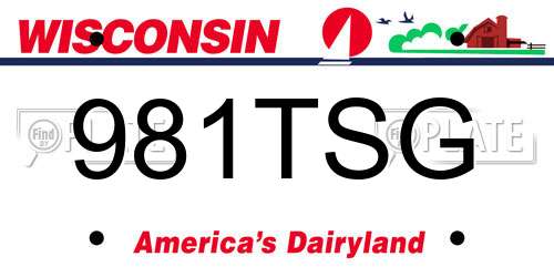 981TSG Wisconsin License Plate