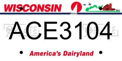 ACE3104 Wisconsin License Plate