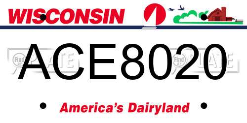 ACE8020 Wisconsin License Plate