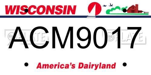 ACM9017 Wisconsin License Plate