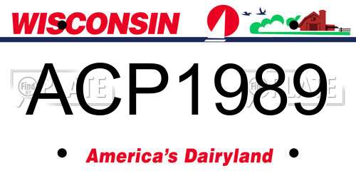 ACP1989 Wisconsin License Plate