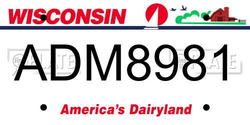 ADM8981 Wisconsin License Plate