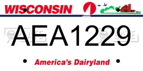 AEA1229 Wisconsin License Plate