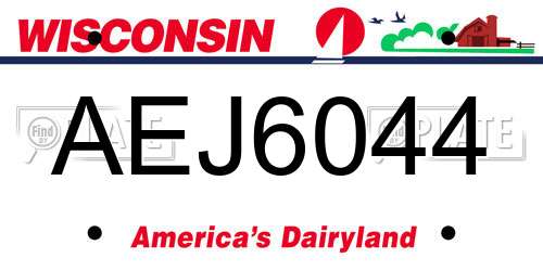 AEJ6044 Wisconsin License Plate