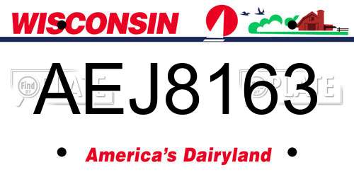 AEJ8163 Wisconsin License Plate