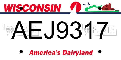 AEJ9317 Wisconsin License Plate