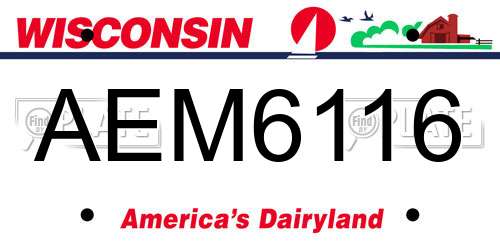 AEM6116 Wisconsin License Plate