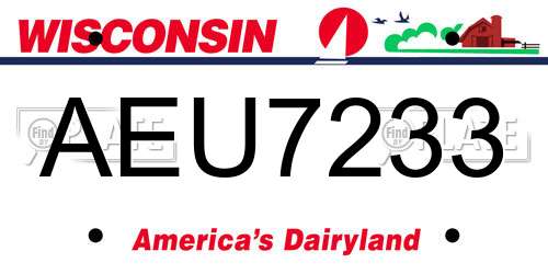 AEU7233 Wisconsin License Plate